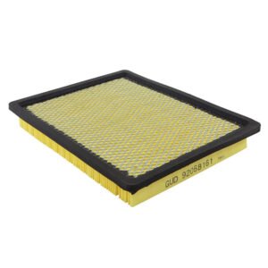 GM STD AIR FILTER, VT-VZ V6, V8