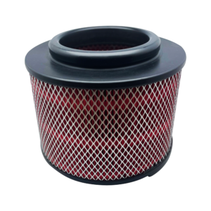 KNF-2296 K&N K&N Advantage Plus Air Filter 24K Miles